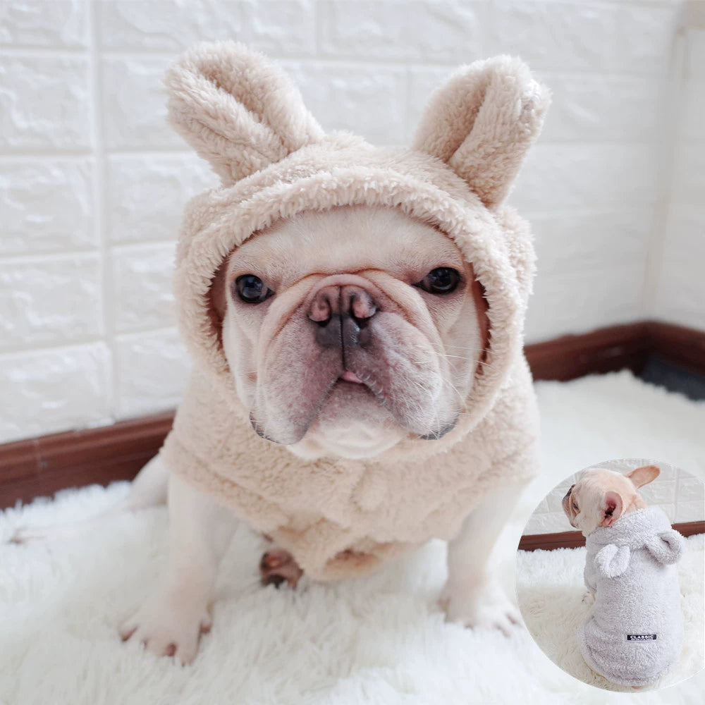 Pet Pajamas