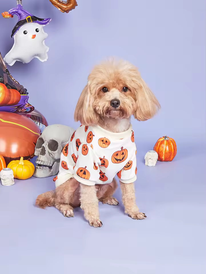 Costume Pumpkin Puppy Hoodies