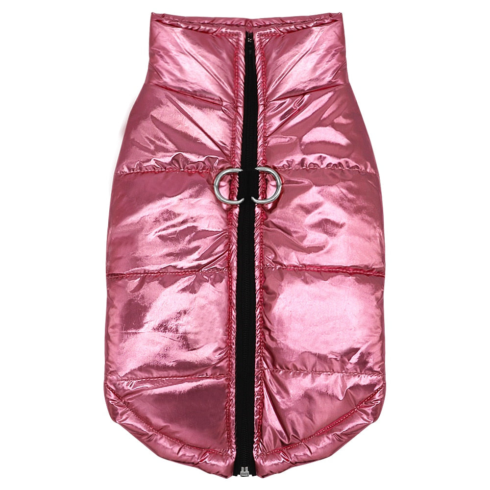 Waterproof designer jacket