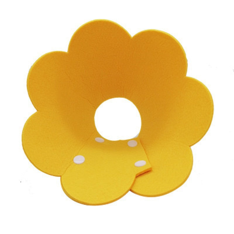Protective Collar