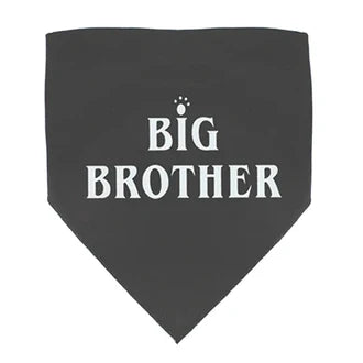 BIG BROTHER