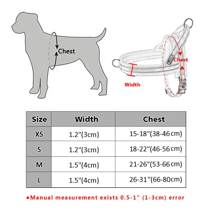 Reflective Harness