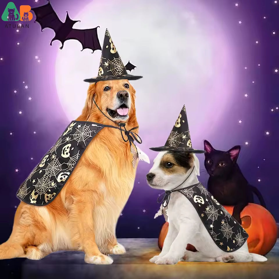 Dog Halloween Costumes