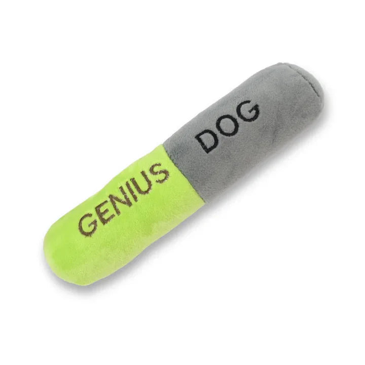 Genius Dog