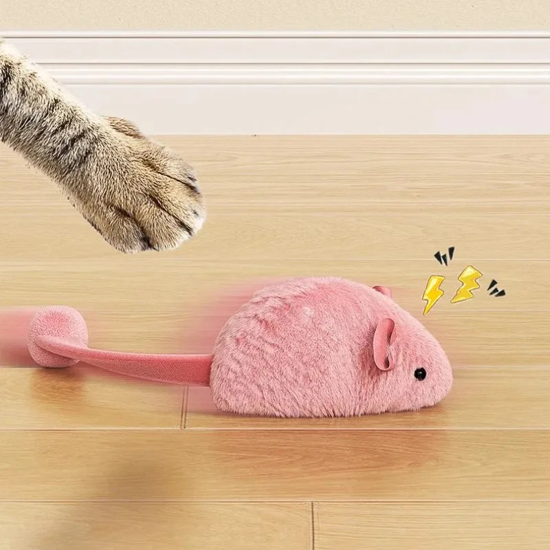 Cat Toy