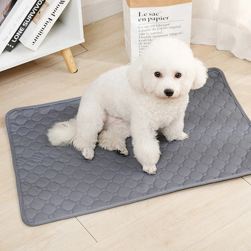 Washable Pet Pee Pad