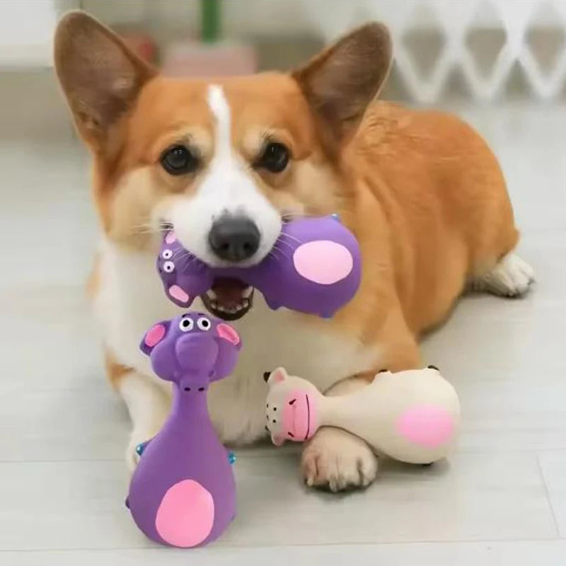 Dog Squeaky Toy