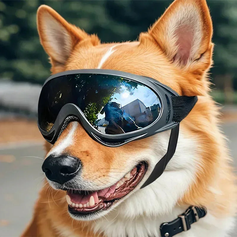 Goggles for Dogs