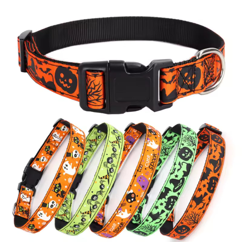 Collar Dog Halloween Atmosphere