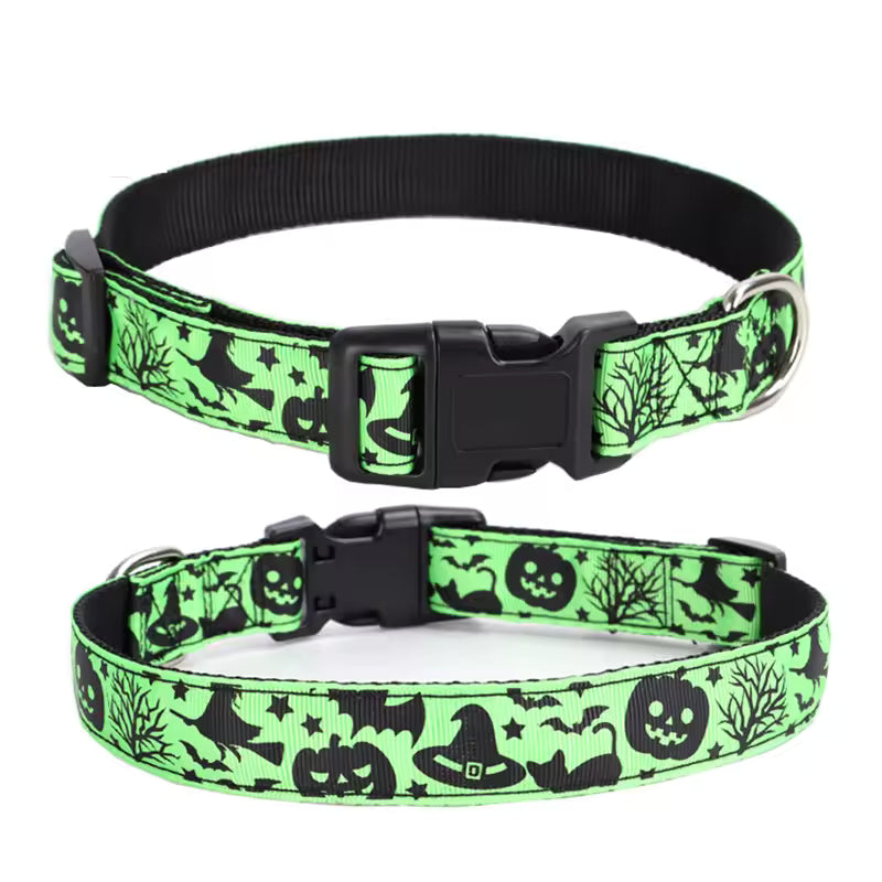 Pet Collar Pumpkin