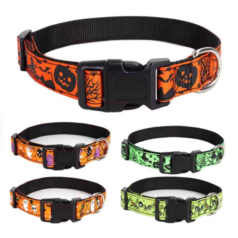 Collar Dog Halloween Atmosphere