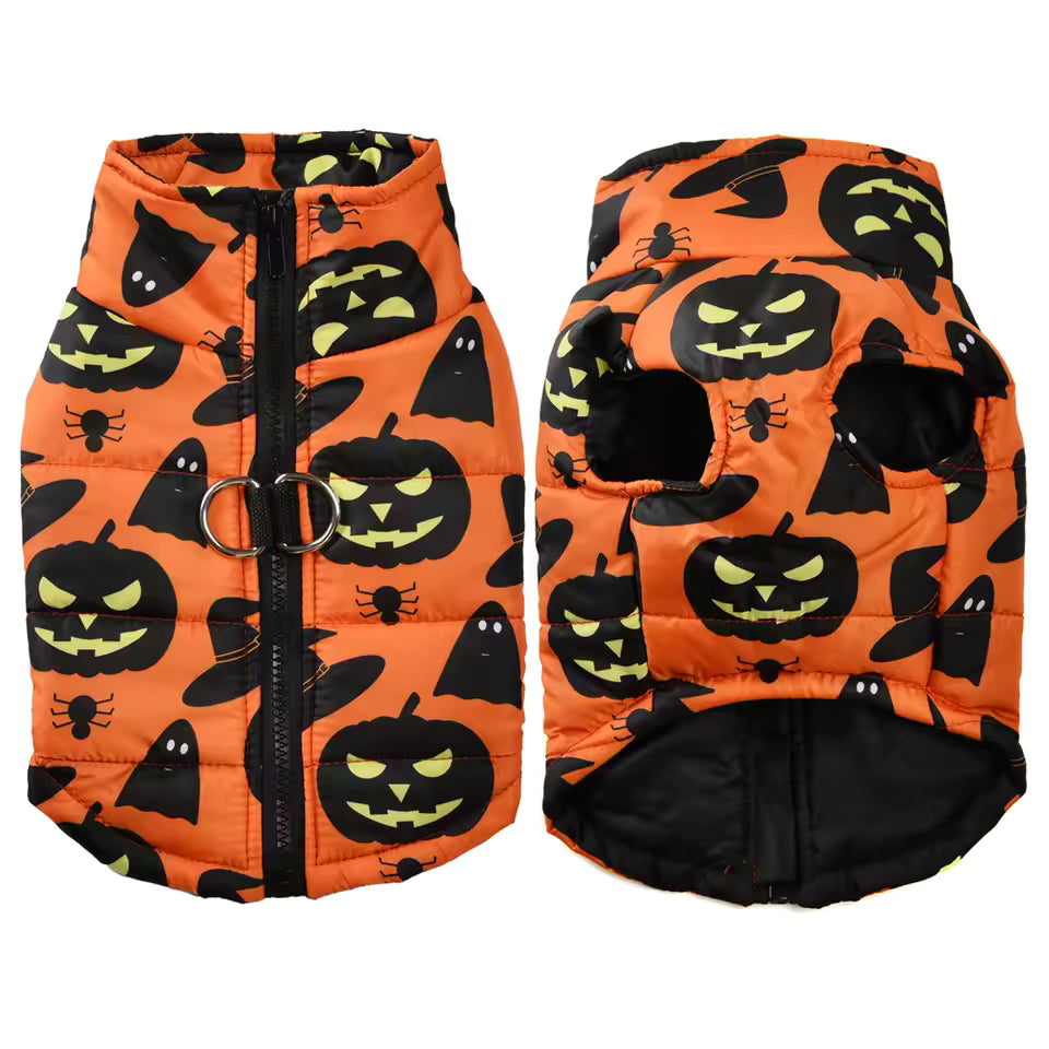 Print Puppy Clothes