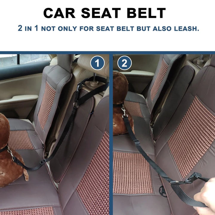 Seat Belt