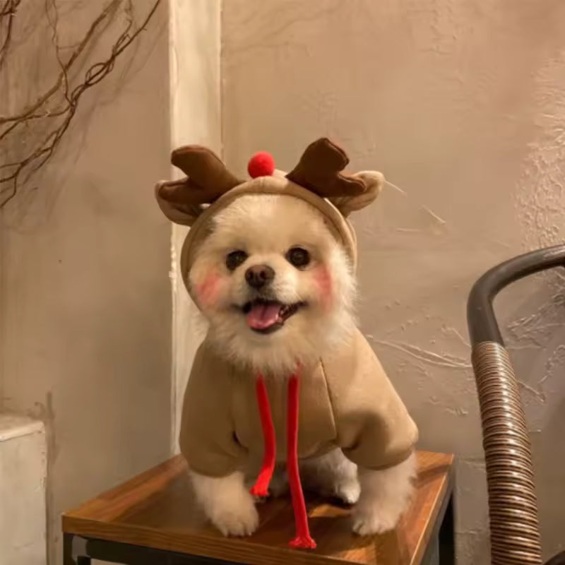 Dogs Costume