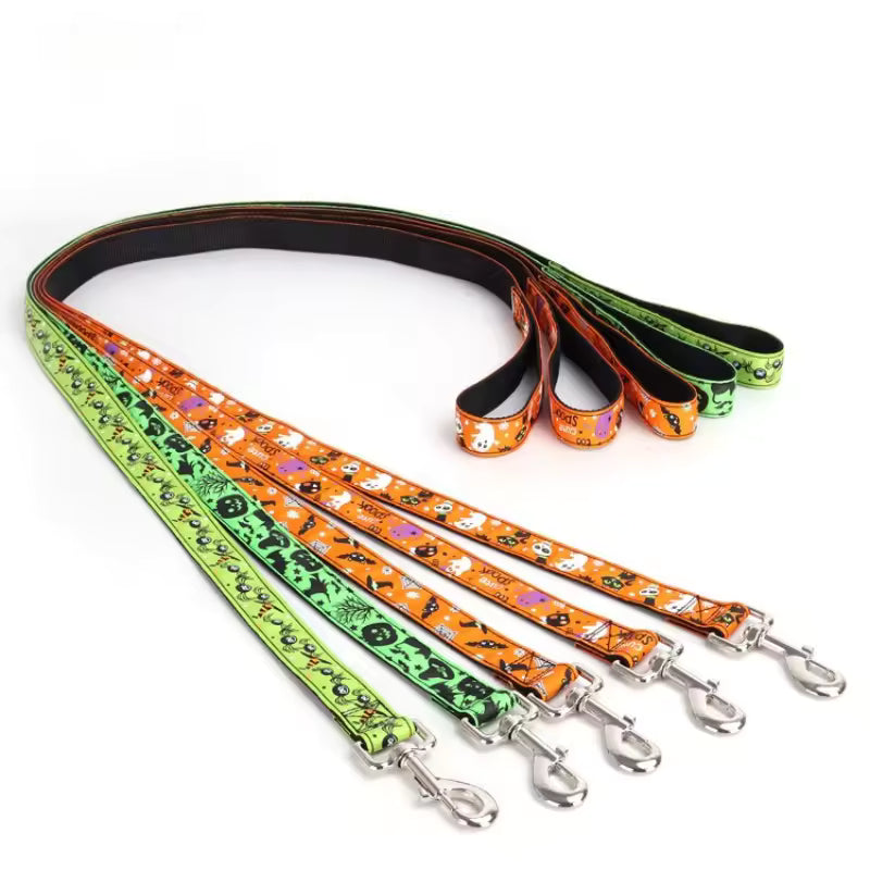 Collar Dog Halloween Atmosphere