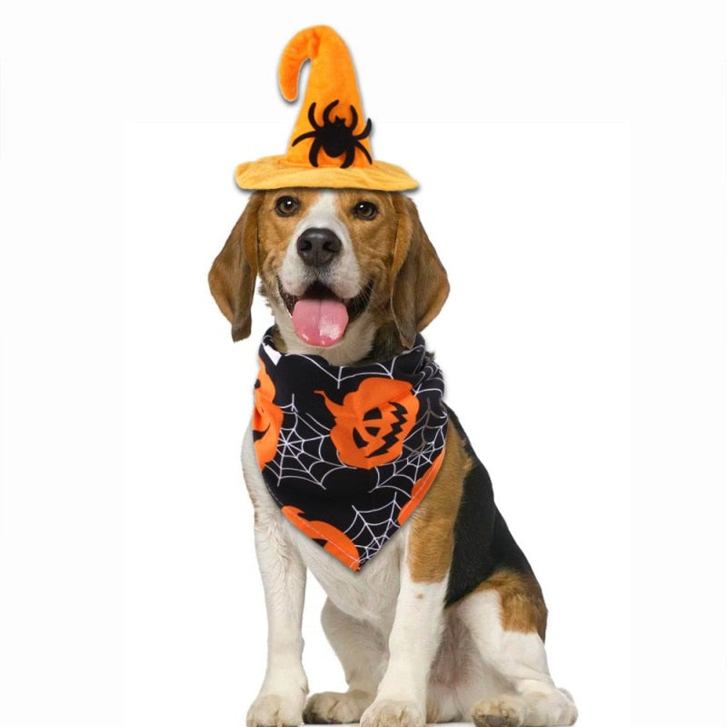 Halloween Dog Bandana