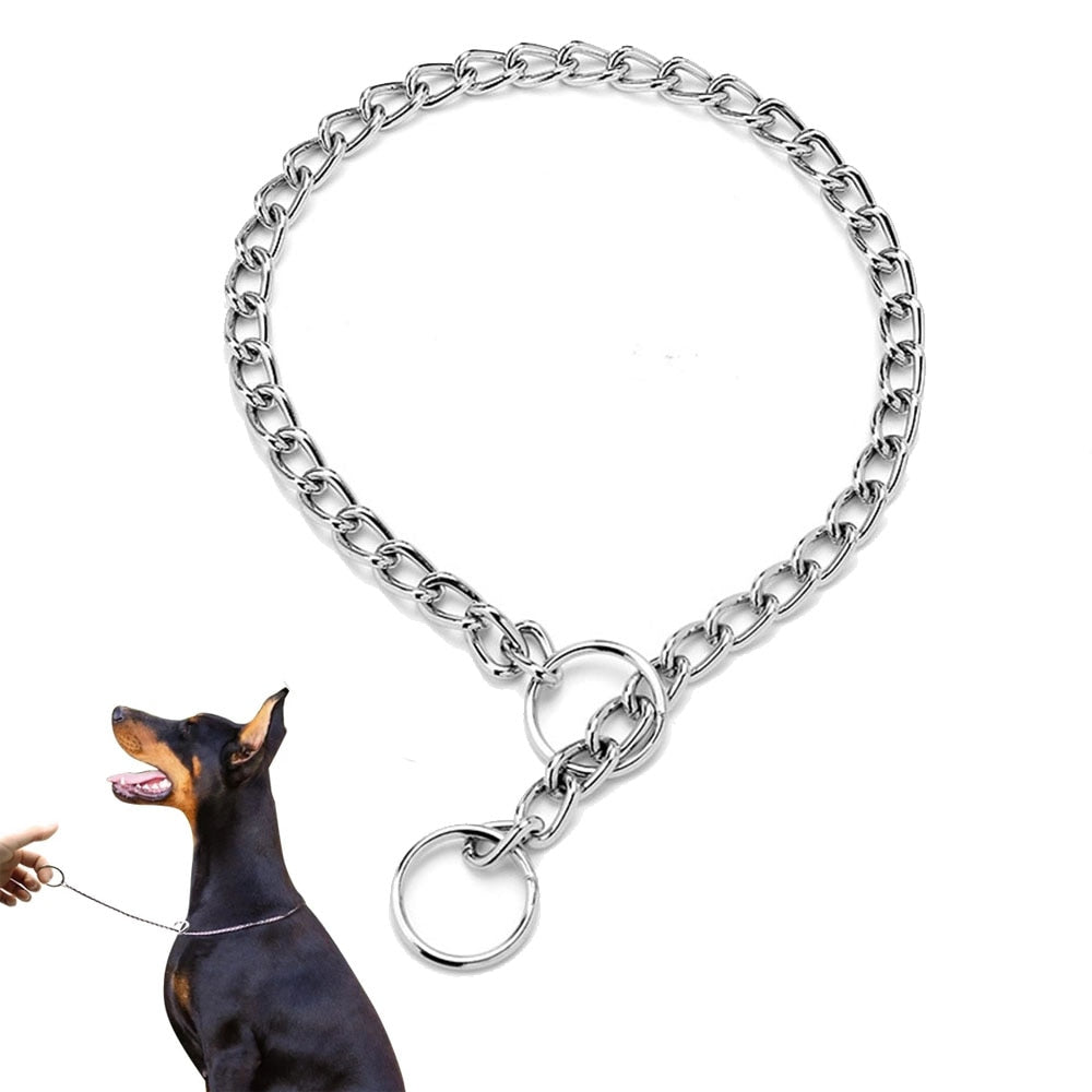 Stainless Collar