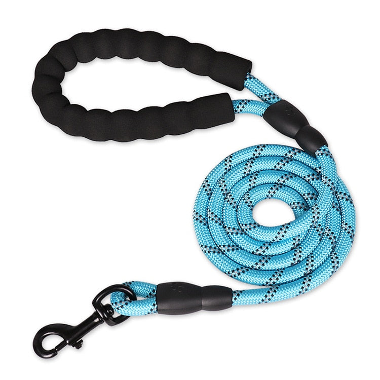 Curated visual reference: Picture Idea: Flexible Leash