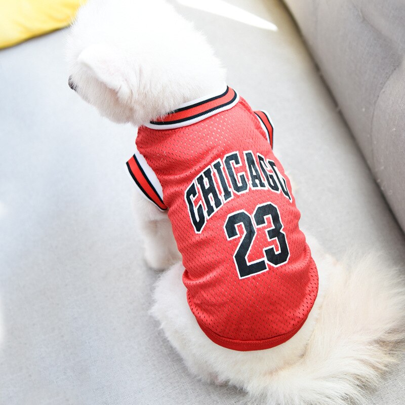 Chicago Jersey