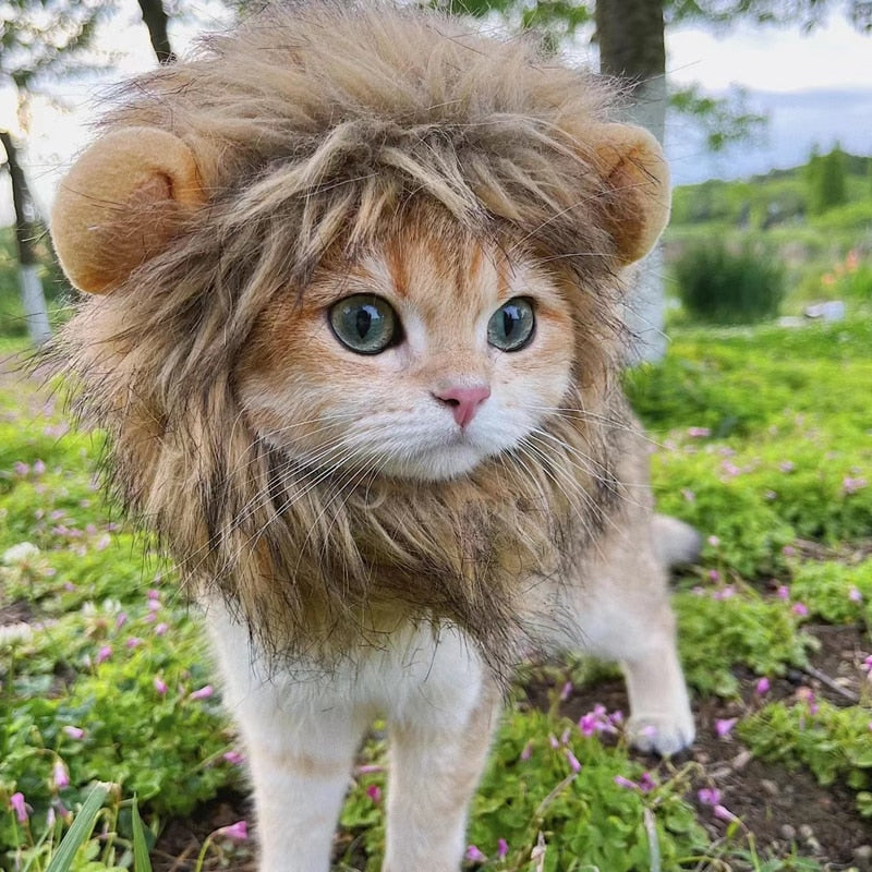 Lion Wig